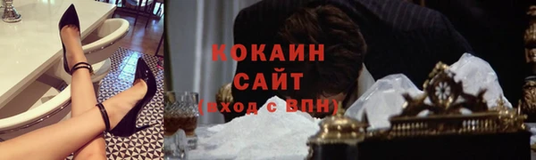 крисы Новокубанск