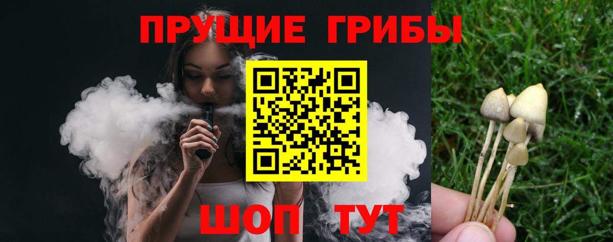 Торжок  Галлюциногенные грибы ЛСД  Вход с VPN 